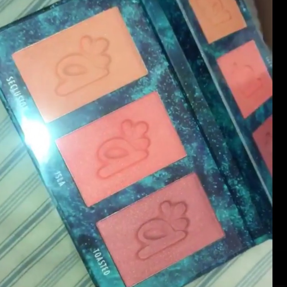 Blush Palette